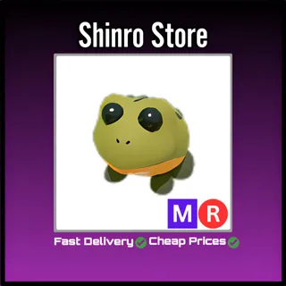 Mr Bullfrog