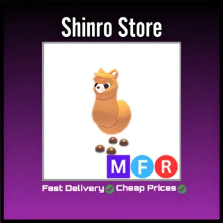 Mfr Alpaca