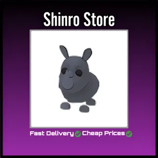 Rhino
