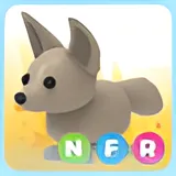 NFR FENNEC FOX