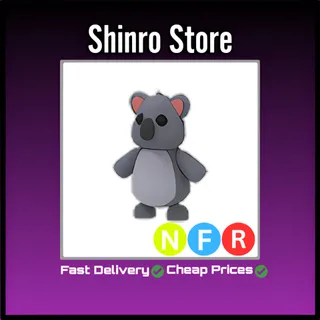 Nfr Koala