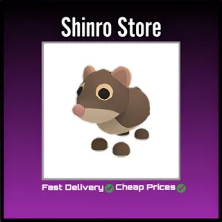 Shrew