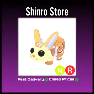 Nr Bunny Swirl