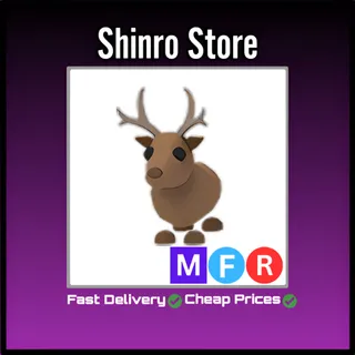Mfr Reindeer