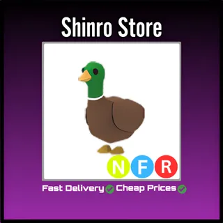Nfr Drake