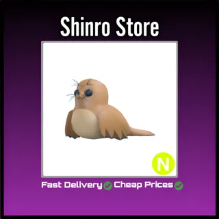 Neon Galapagos Sea Lion