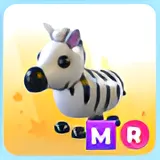 MR ZEBRA