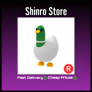 R Silly Duck