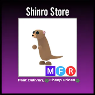Mfr Meerkat
