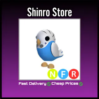 Nfr Parakeet