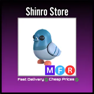 Mfr Rock Pigeon