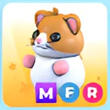 MFR HAMSTER