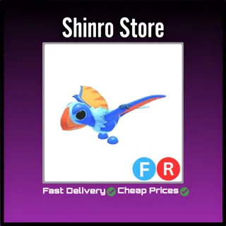 Fr Dimorphodon
