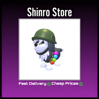 General Sheepdog