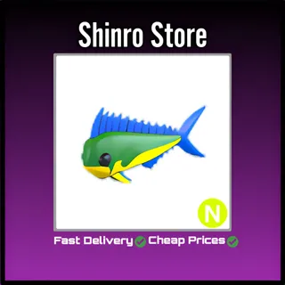 Neon Mahi Mahi
