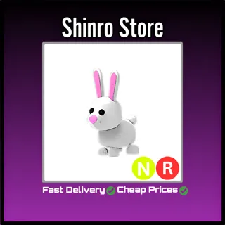Nr Bunny