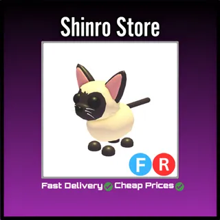 Fr Siamese Cat