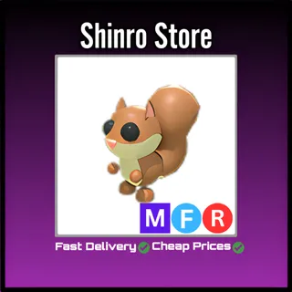 Mfr Red Squirrel