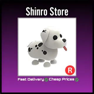 R Dalmatian