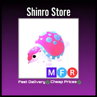 Mfr Glyptodon