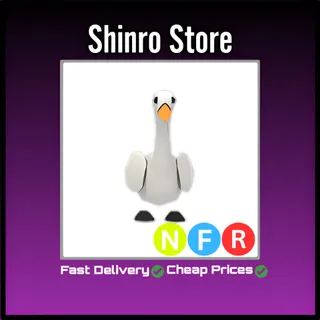 Nfr Swan