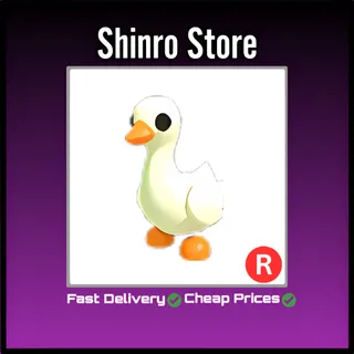 R Goose