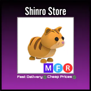 Mfr Ginger Cat