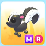 MR SKUNK