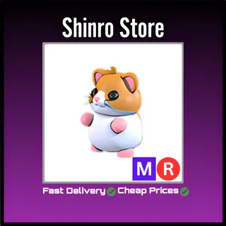 Mr Hamster