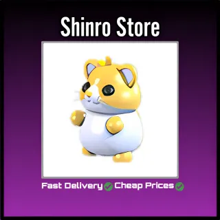 Golden Hamster