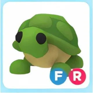 FR TURTLE