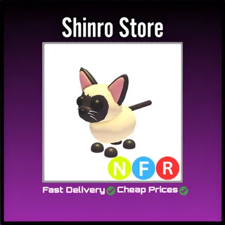 Nfr Siamese Cat