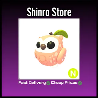 Neon Peach Owl