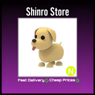 Neon Dog