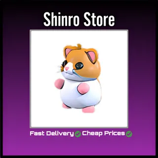 Hamster