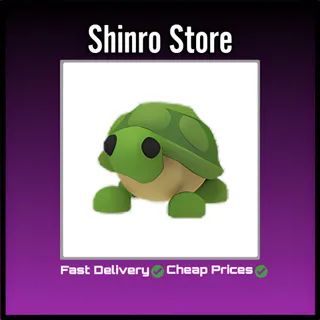 Turtle
