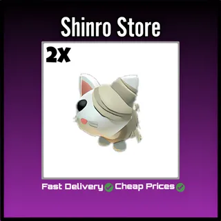 Halloween White Mummy Cat 2x