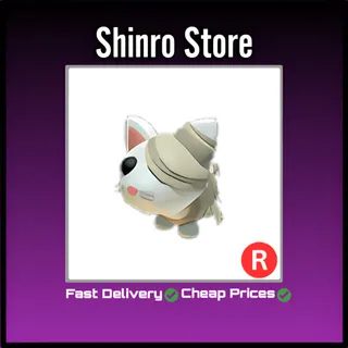 R Halloween White Mummy Cat