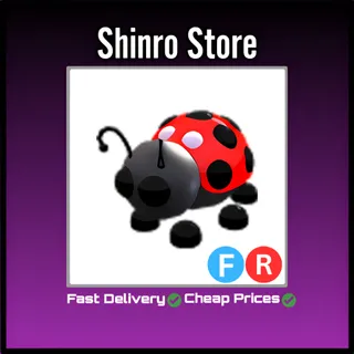 Fr Ladybug