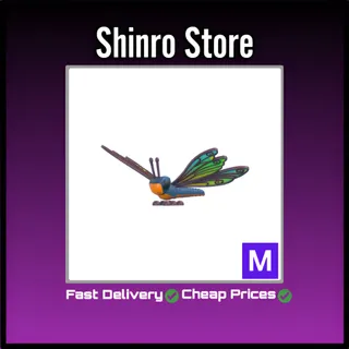 Mega Clubtail Dragonfly