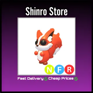 Nfr Ratatoskr