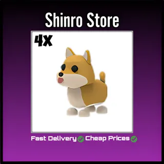 Shiba Inu 4x