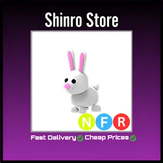 Nfr Bunny