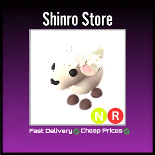 Nr Lamb