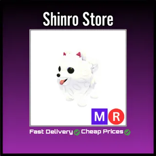 Mr Samoyed