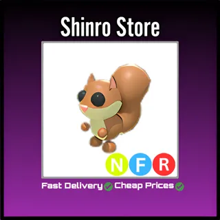 Nfr Red Squirrel