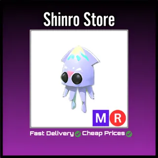 Mr Squid