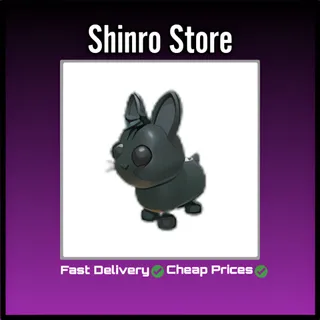 Amami Rabbit