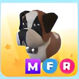 MFR ST BERNARD