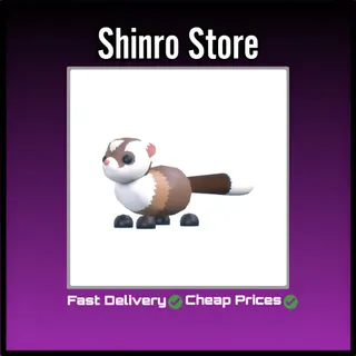 Black-Footed Ferret